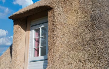 Landimore thatch roof disadvantages
